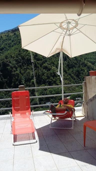 Paisible Maison Dans Les Pyrenees Fontpédrouse Kültér fotó